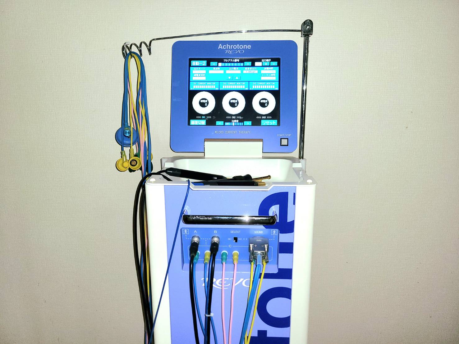 アクロトーンレボの写真